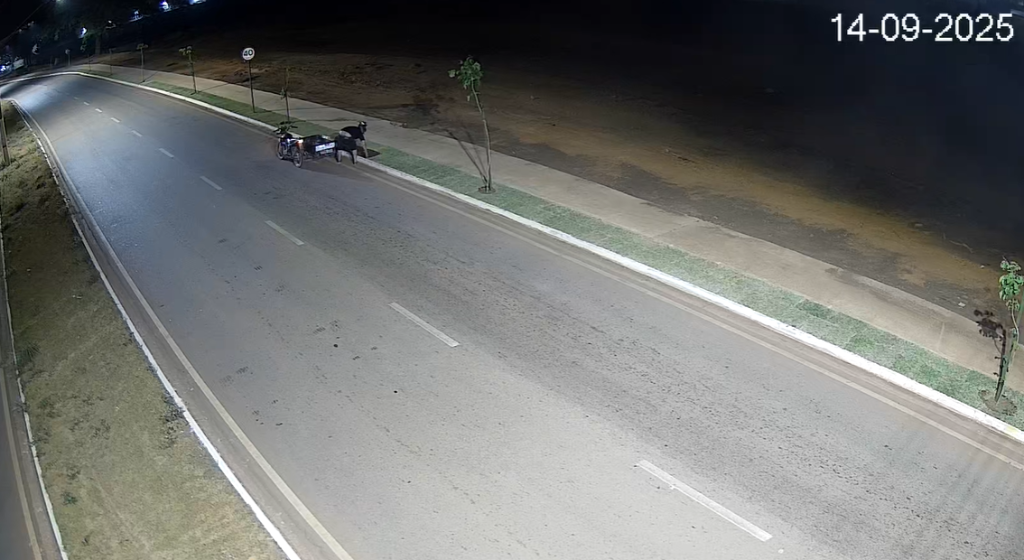Homem é preso após furtar grama em avenida monitorada pelo Vigia Mais MT
